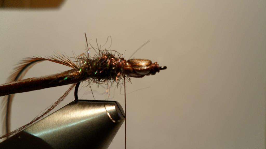 Fly Tying | New Generation Beetles